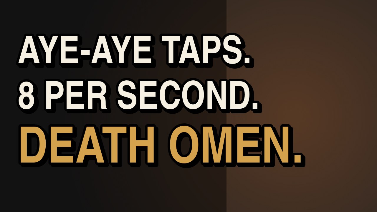 Why the Aye-Aye Taps Trees Eight Times a Second